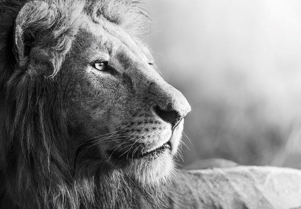 Why leadership is a solid retention strategy Image 1