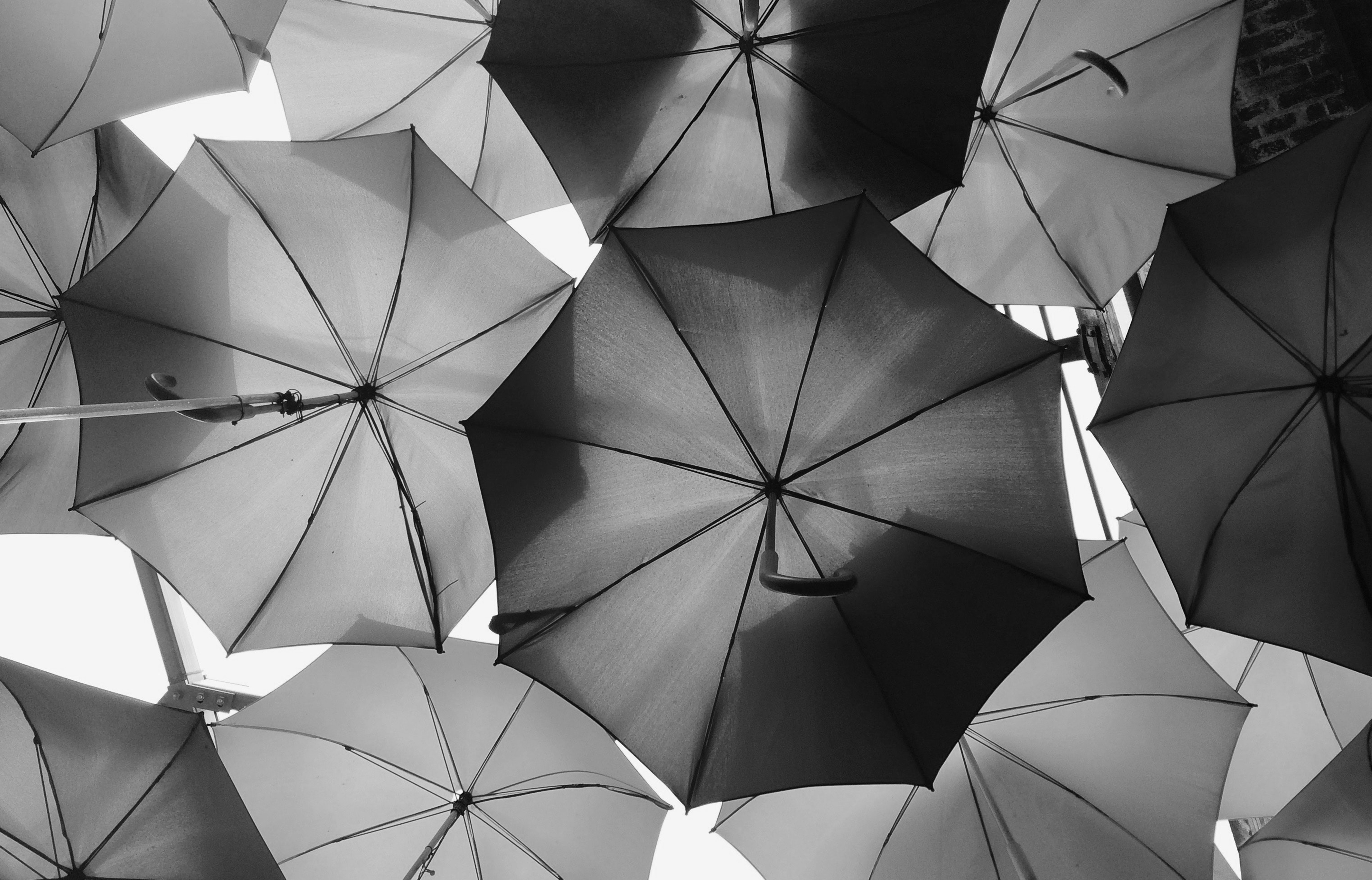 The CISO’s role in corporate cyber insurance Image 2