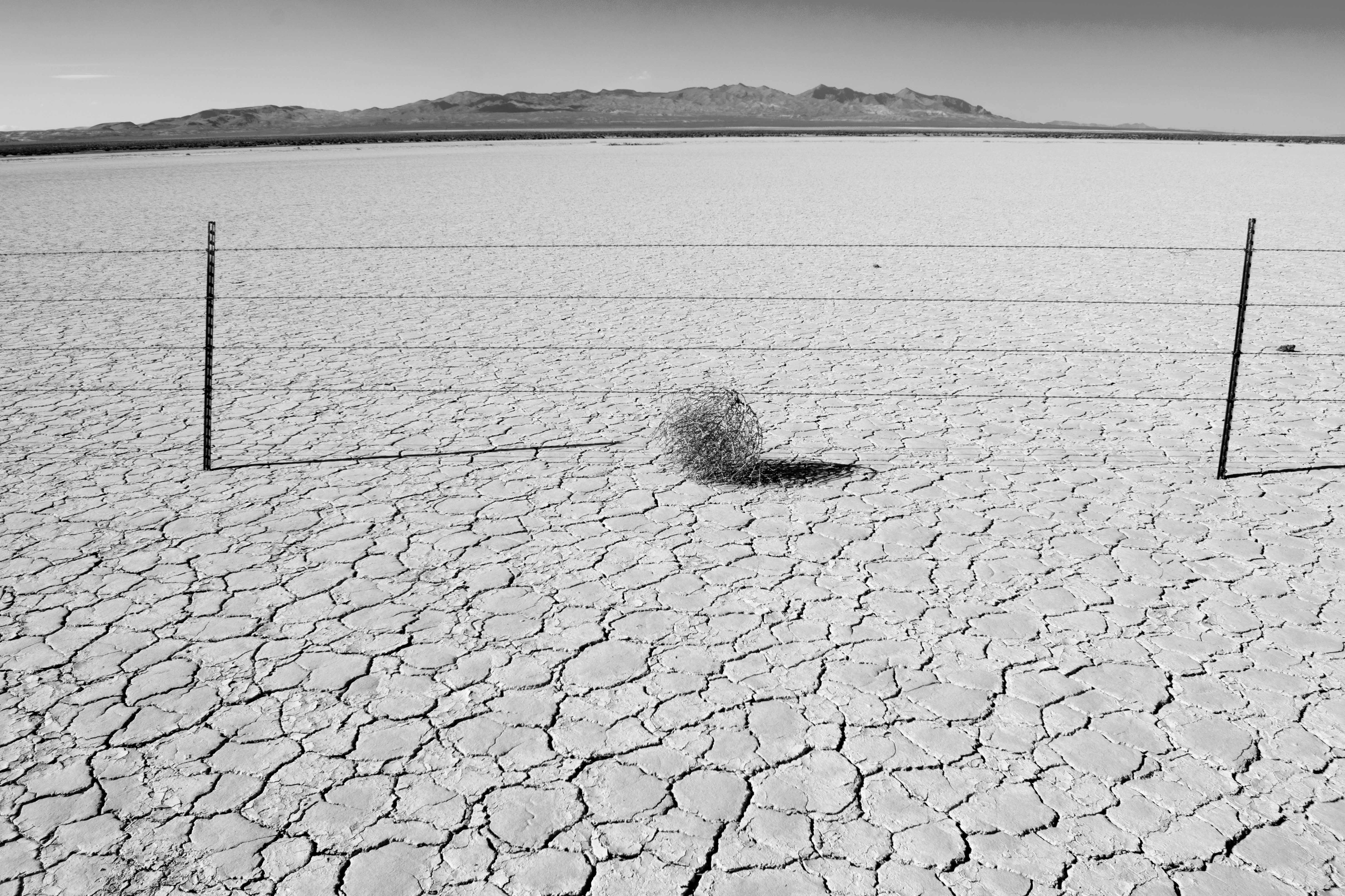 Ghosting: Why Your Candidates Disappear During Recruitment [Part 1] Image 1