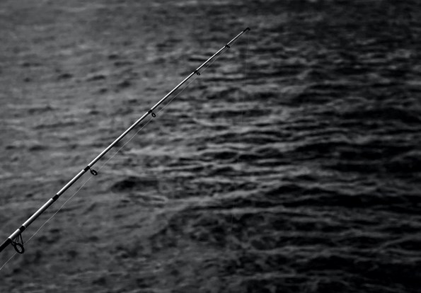 Like shooting phish in a barrel Image 2